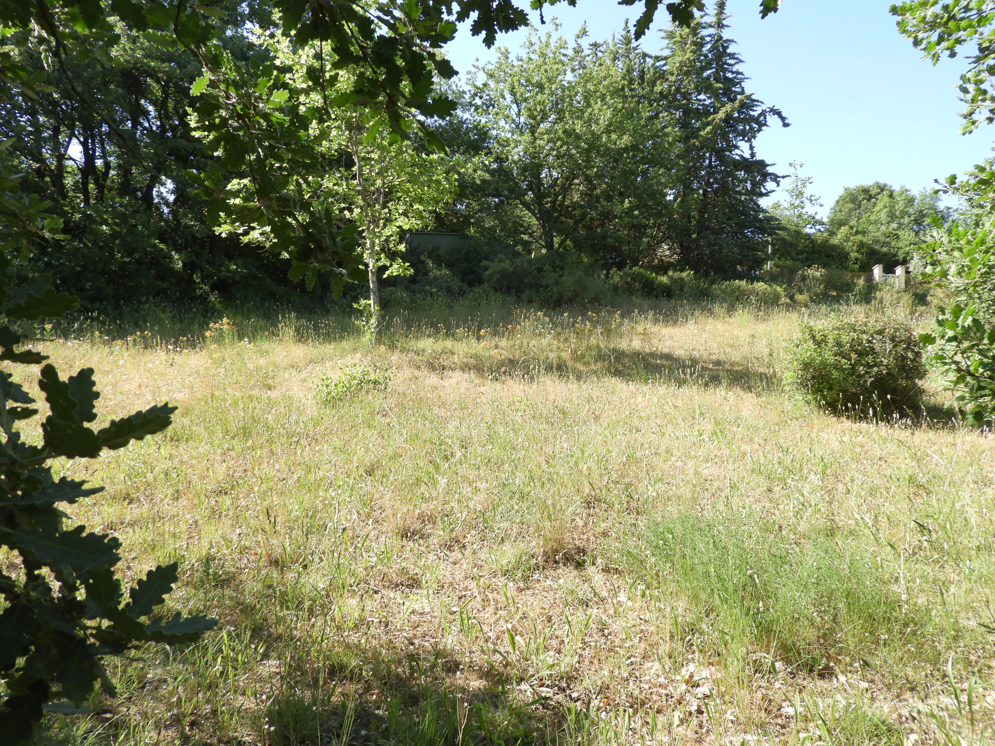 Agence immobilière de Groupe Immo Annonces